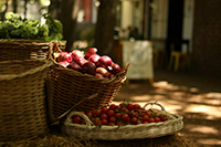 image of a basket full of vegetables